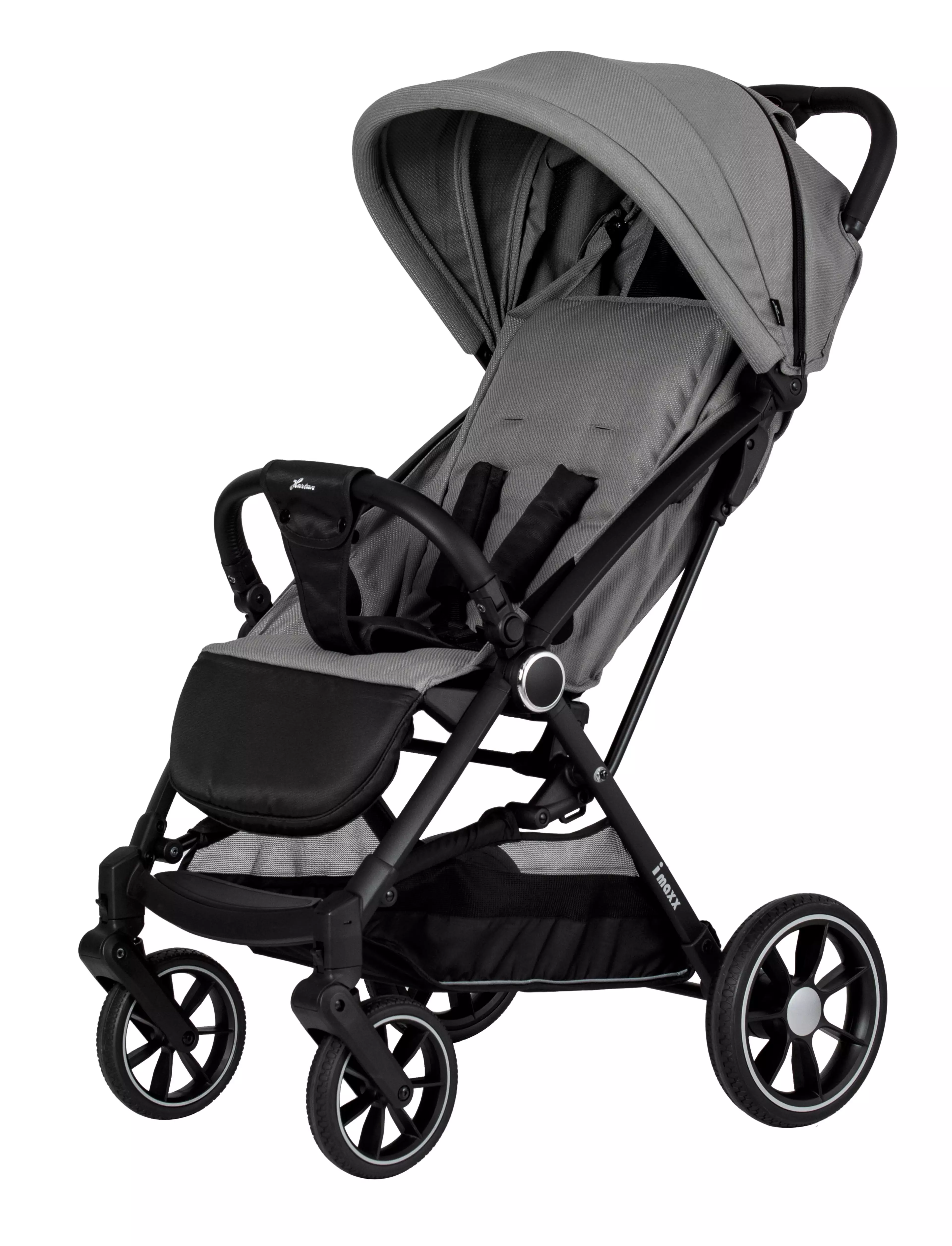 hartan buggy ix1