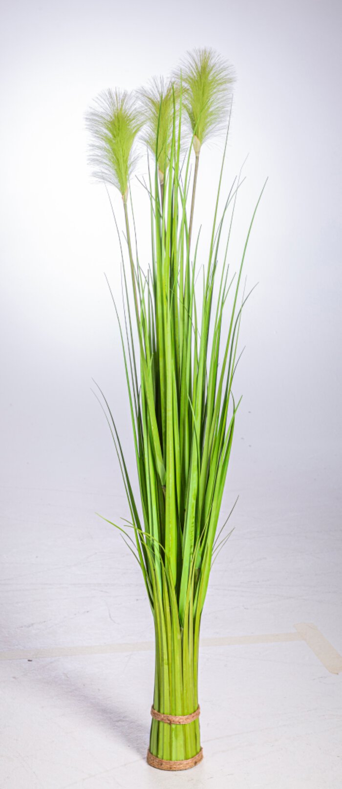 Kunstpflanze Schilfgras kaufen Segmüller