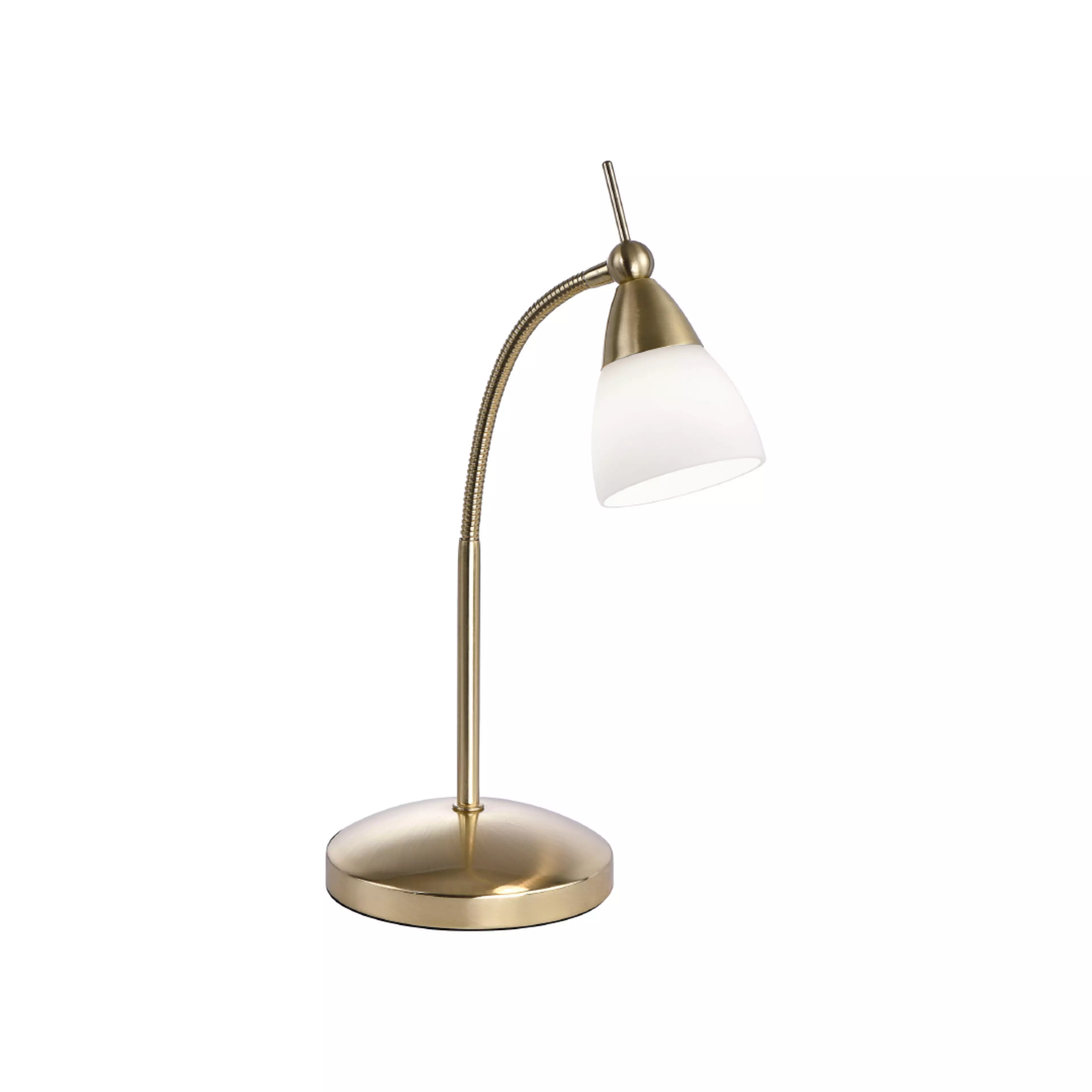 Paul Neuhaus Lampen & Leuchten kaufen SEGMÜLLER